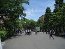 同志社大学